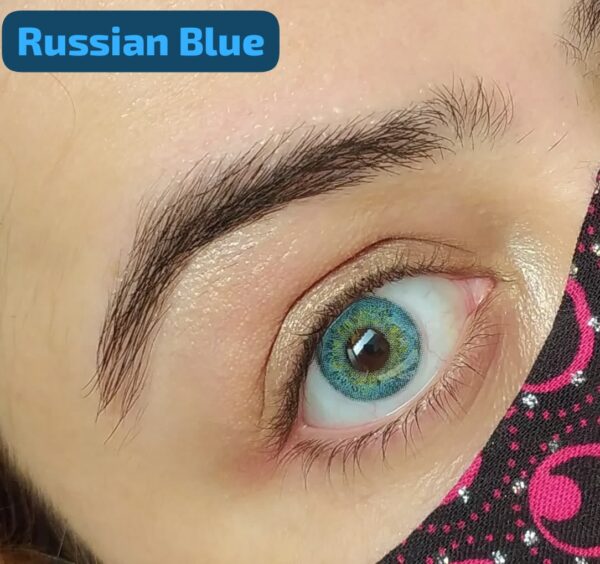 Russian Blue