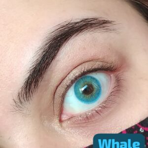 Whale