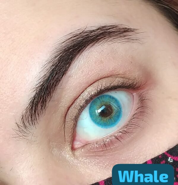 Whale