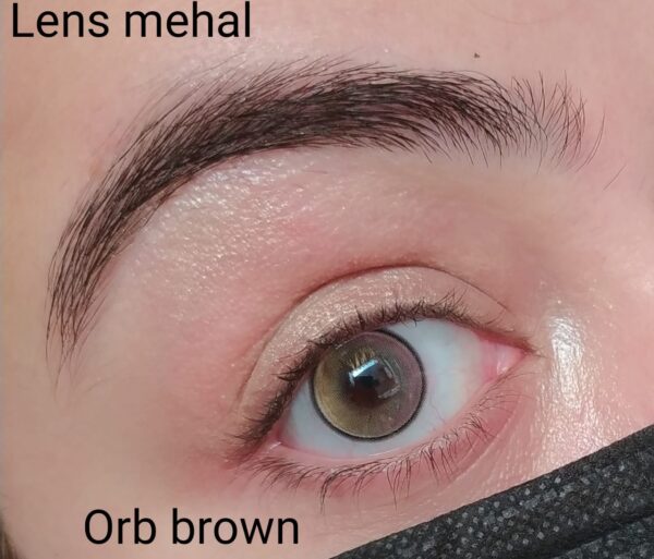 Crystal ORB Brown - Image 2